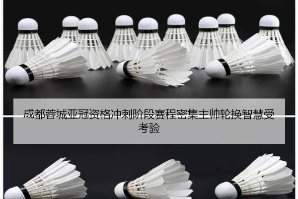 成都蓉城亚冠资格冲刺阶段赛程密集主帅轮换智慧受考验（ayx.comapp）