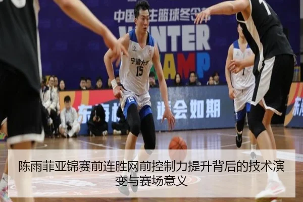 陈雨菲亚锦赛前连胜网前控制力提升背后的技术演变与赛场意义 | ayx.comapp